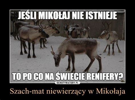 Miko Ajki Na Weso O Tak Internauci Miej Si Ze Wi Tego