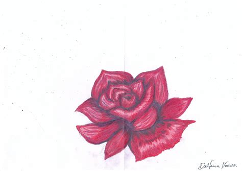 Dibujo de una rosa a lapiz | Leaf tattoos, Maple leaf tattoo, Art