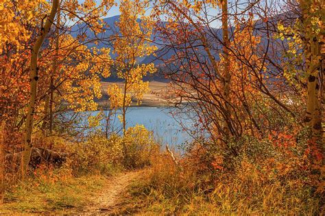 Fall Colors at Palisades Lake Photograph by Colleen McIntier - Fine Art ...