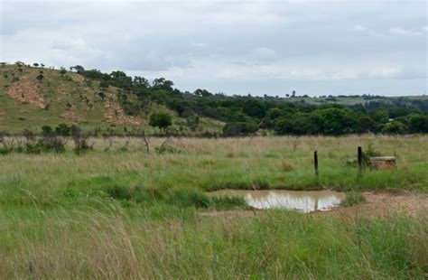 Rain Water Puddle In A Grassland Free Stock Photo Public Domain Pictures