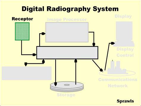 Digital Radiography