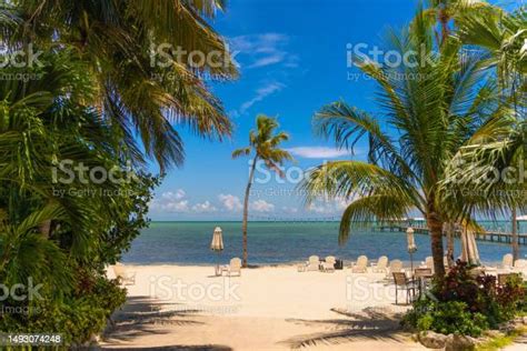 Islamorada Florida Kunci Pemandangan Pantai Foto Stok Unduh Gambar