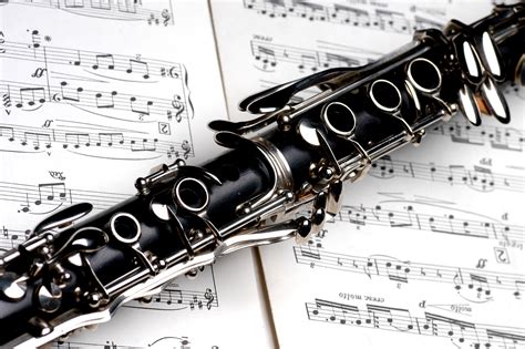 The Best Clarinets For Beginners Students Musiq