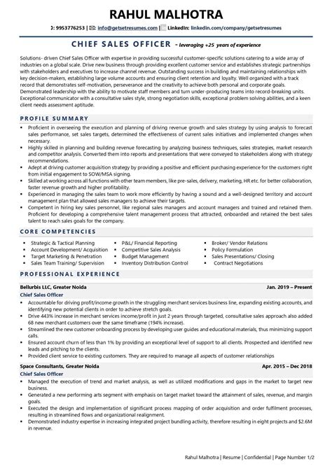 Chief Sales Officer Resume Examples Template With Job Winning Tips