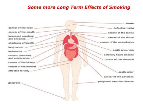 Ppt Tobacco And It’s Effects Powerpoint Presentation Free Download Id 1490188