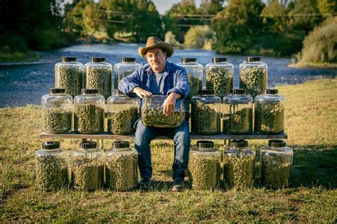 ‘Growing Belushi,’ TV series about Jim Belushi’s Oregon cannabis farm ...