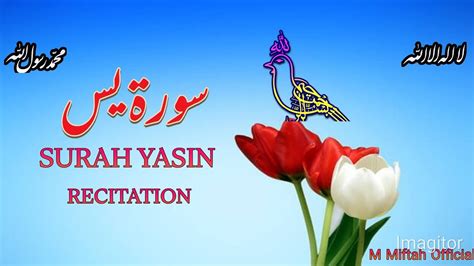 Surah Yasin Yaseen By Qari Miftah Uddin Full With Arabic Text HD