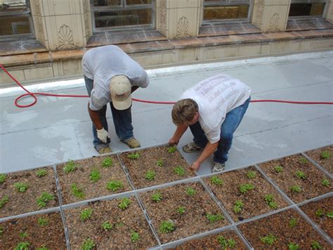 Green Roof Blocks Simple Solutions To Building Green