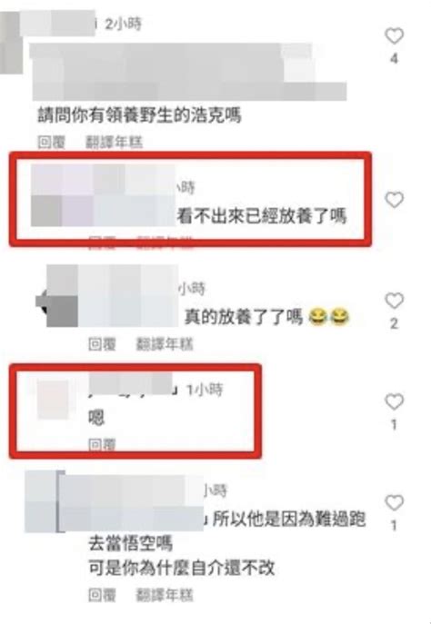 快訊 已放生男友？超商浩克女友ig無奈吐「這個字」 嘆被吃瓜群眾關注 中天新聞網