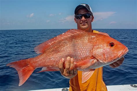 South Atlantic Gets Two Days For Red Snapper Coastal Angler The