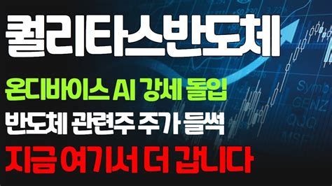 퀄리타스반도체 온디바이스 Ai 강세 돌입 반도체 관련주 주가 들썩 지금 여기서 더 갑니다 Youtube