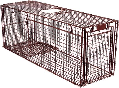 Amazon co jp 30LTD Tru Catch Traps 大人猫向け捕獲機 Light Duty Animal Trap