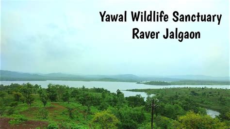 Yawal Wildlife Sanctuary Raver Jalgaon Pal Raver Youtube