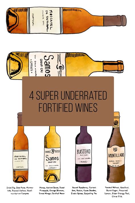 Super Underrated Fortified Wines Wine Folly Fortified Wine Wines