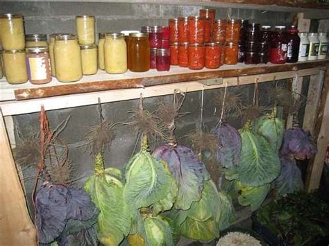 How To Create A Root Cellar For Food Storage | Self-Sufficiency ...