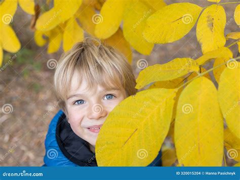 Cute Blond Boy Smiles Hiding Half His Face Behind Yellow Autumn Leaves