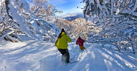 The Best Mount Buller Tours And Things To Do In 2024 Free