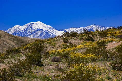 Colorful Thousand Palms Oasis Preserve - No Heels Just Sneakers