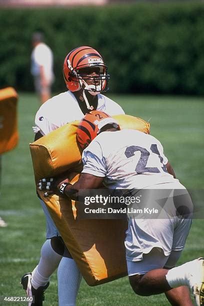 64 Ki Jana Carter Bengals Stock Photos, High-Res Pictures, and Images - Getty Images