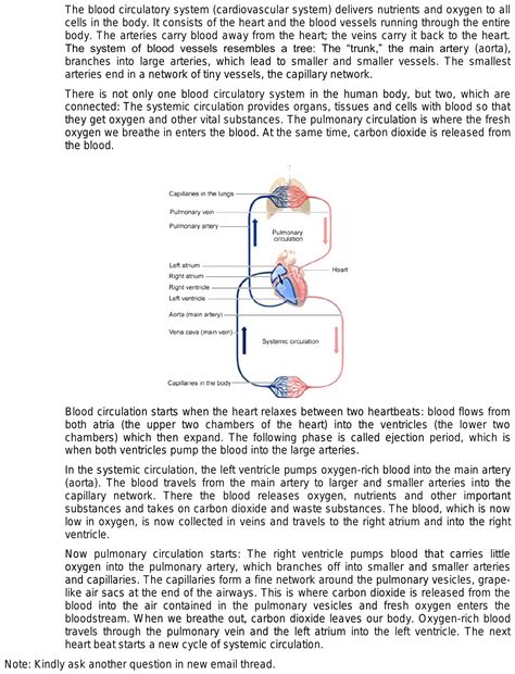 Write A Short Note On The Circulation Of Blood In The Human Body