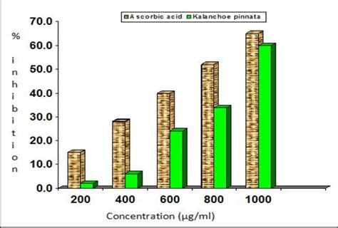 Superoxide Anion Radical Scavenging Activity Of Kalanchoe Pinnata And