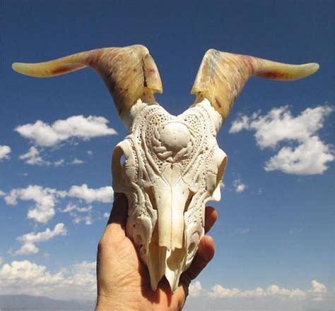 Hand Carved Goat Skull And Horns Southwestern Decor Animal Skull