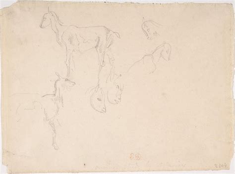 0134 德拉克洛瓦绘画油画图集TIF Studies of a Goat Eugene Delacroix French Charenton