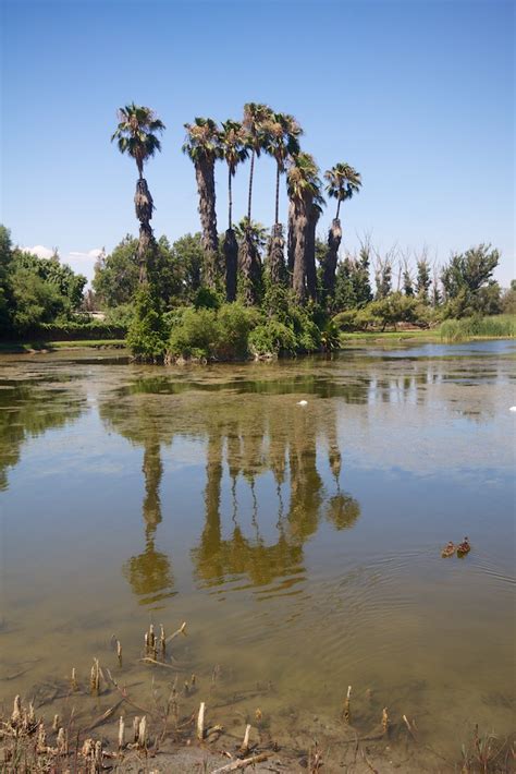 Rancho Jurupa Park in Riverside | California Through My Lens