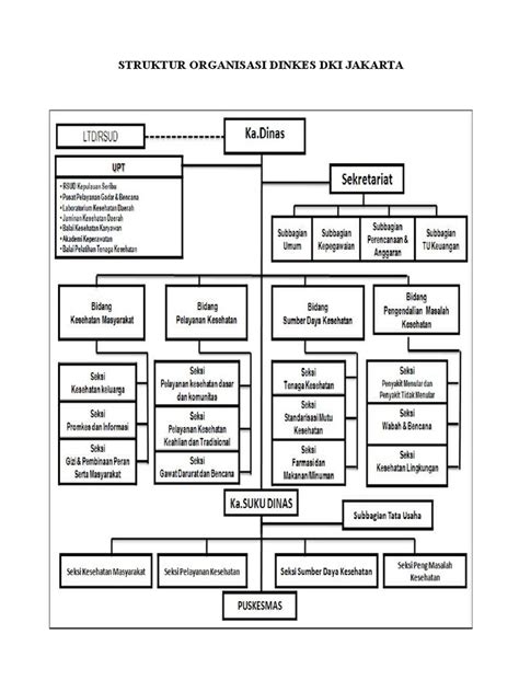 Pdf Struktur Organisasi Dinkes Dki Jakarta Dokumen Tips