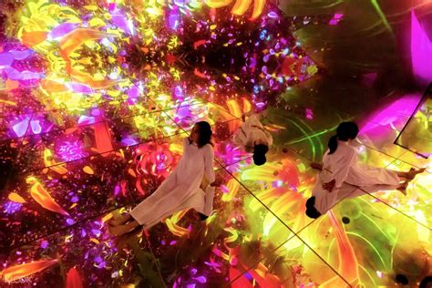 Teamlab Planets Toyosu Tokyo Ticket