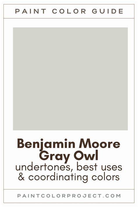 Benjamin Moore Gray Owl: a complete color review - The Paint Color Project