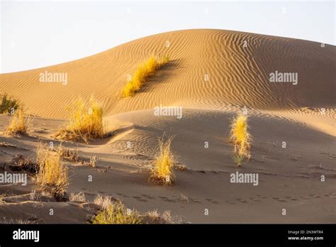 Sand Desert, Karakum Desert, Turkmenistan, Turkmenistan Stock Photo - Alamy