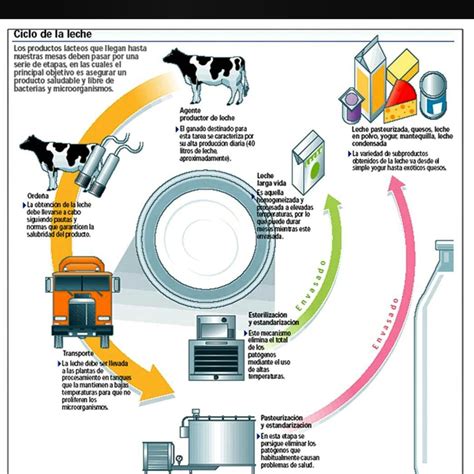 Pasteurizacion De La Leche 2 Pasteurizacion Pasteurizacion La