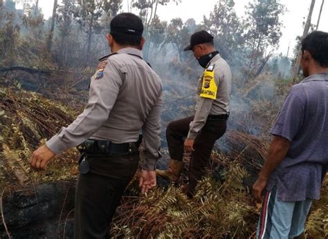 Kebakaran Hutan Dan Lahan Di Riau Meluas Menjadi 849 Hektare Okezone News