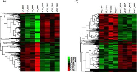 Hierarchical Clustering And Heat Map For The Mrna Expression Of The