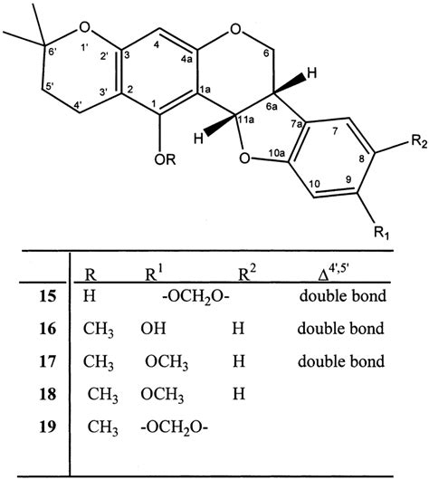 Structure of compound 15 ± 19. | Download Scientific Diagram