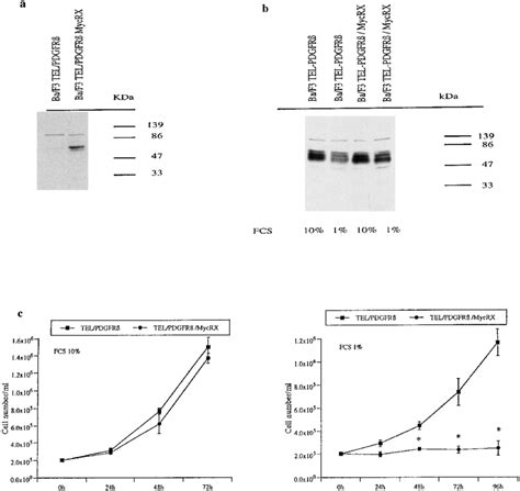 Myc Expression And Cell Growth Of Tel Pdgfr Ba F Cells Expressing Or