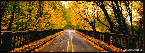 Fall Facebook Cover, Great Facebook Cover, #14617