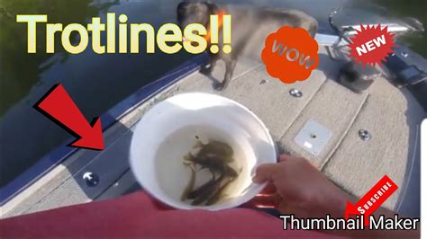 Trotlines For Catfish Lake Greeson Youtube