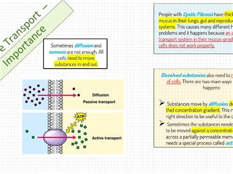 Aqa Gcse New Specification B19 Active Transport Teaching Resources