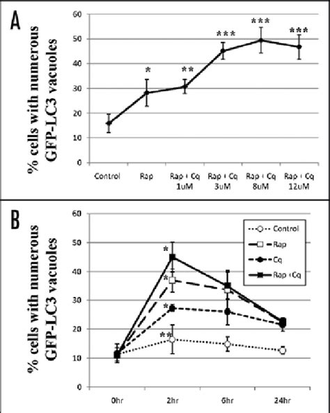 Dose Response And Time Course Dependency Of Chloroquine Effects On