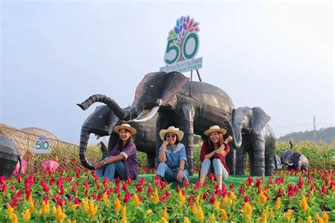 ฉลอง 50 ปี “กรมวิชาการเกษตร” จัดงานถ่ายทอดเทคโนโลยีการผลิตพืชวันที่ 3 4