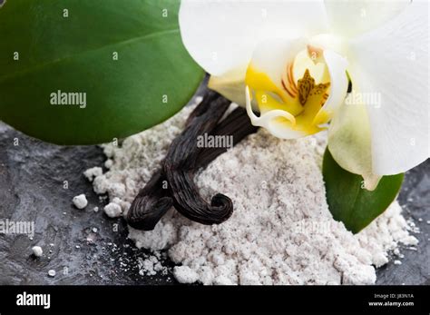 Is Vanilla A Spice Or Herb