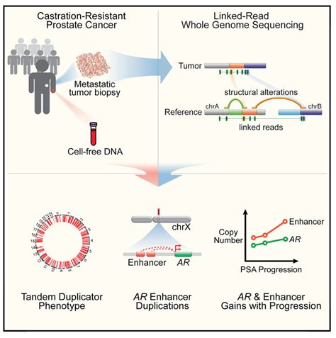 Publications From The Wankowicz Lab