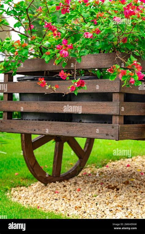 Decorative wooden cart with flowers Stock Photo - Alamy