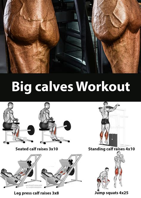 Big Calves Workout Calf Exercises Calf Muscle Workout Gym Workouts