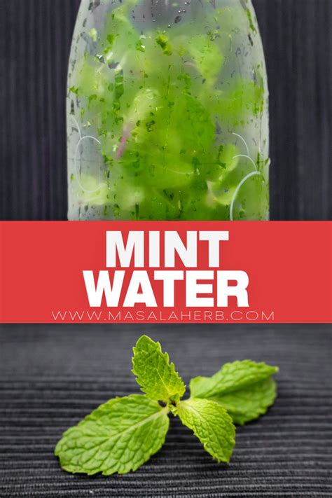 Mint Infused Water Recipe