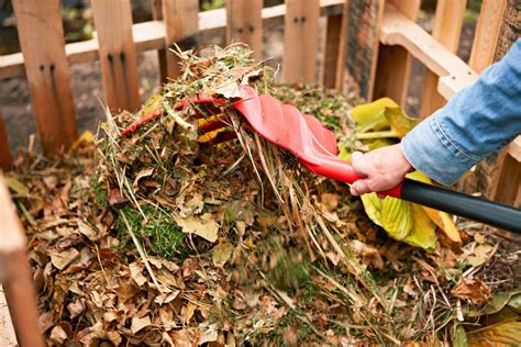 Tips For Starting A Compost Pile In Your Backyard Storables
