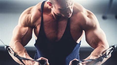 5 Hormones to Control in Bodybuilding for Advanced Muscle Growth