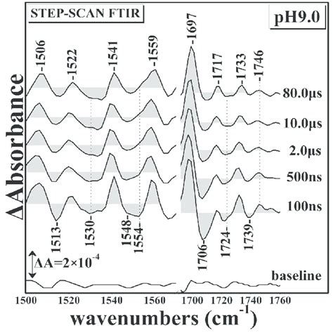 Time Resolved Step Scan Fourier Transform Infrared Trs 2 Ftir Download Scientific Diagram